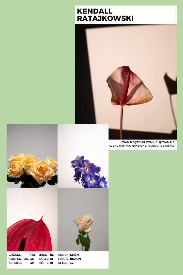Kostenlose Sedcard-Vorlage für Canva – 4 Designs zum Download