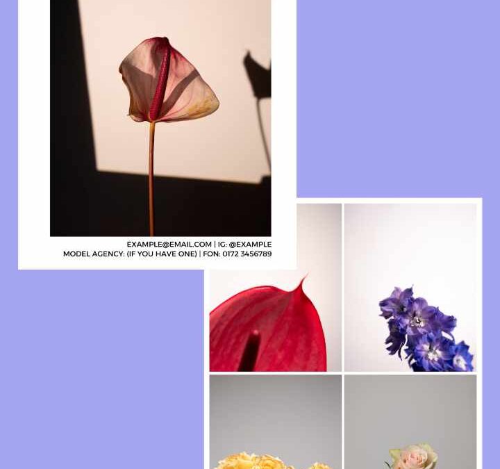 Kostenlose Sedcard Vorlage für Models