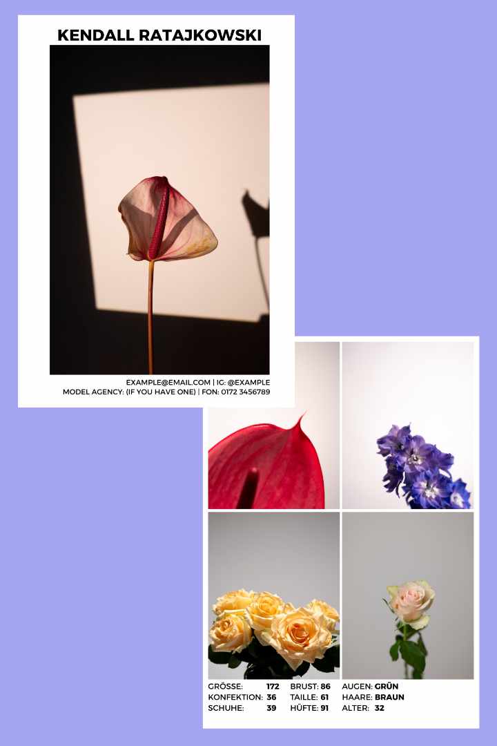 Kostenlose Sedcard Vorlage für Models